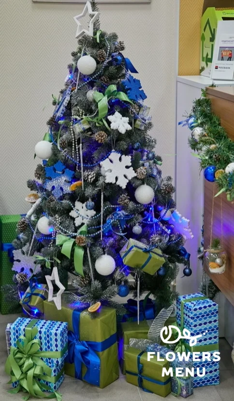 image-2